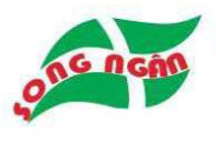 Song Ngan Industrial Wood Company Limited